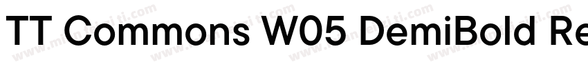 TT Commons W05 DemiBold Regular下载字体转换